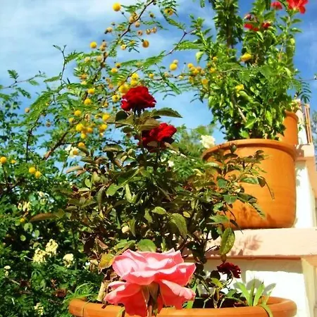 Vakantiehuis Family And Friends Villa, City Center, 50 Mtrs From Sea Level *
