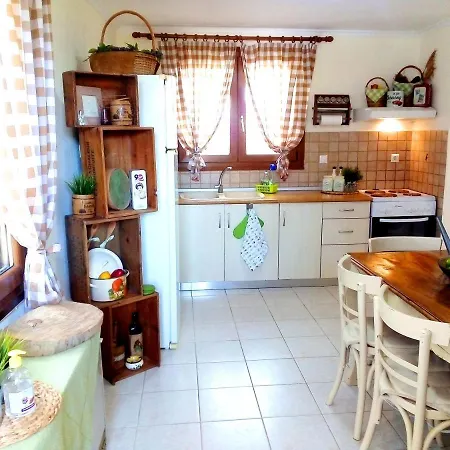 Family And Friends Villa, City Center, 50 Mtrs From Sea Level