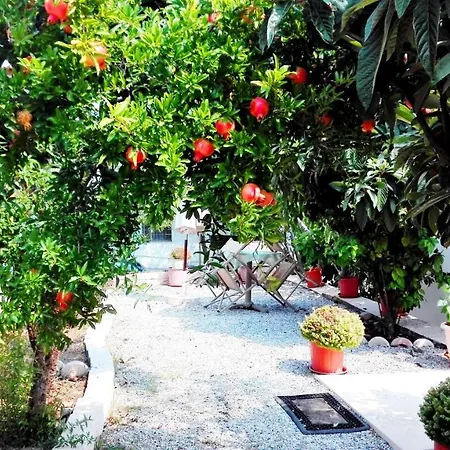 Vakantiehuis Family And Friends Villa, City Center, 50 Mtrs From Sea Level Neos Marmaras