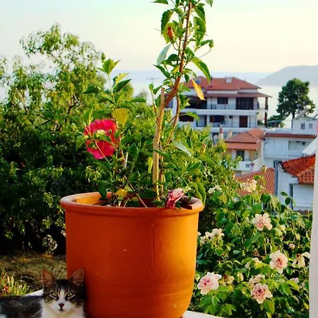 Family And Friends Villa, City Center, 50 Mtrs From Sea Level Vakantiehuis