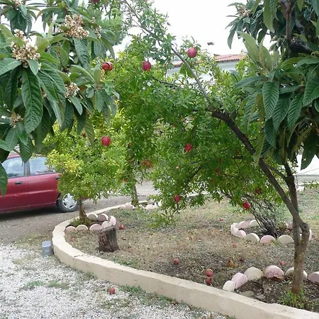 Family And Friends Villa, City Center, 50 Mtrs From Sea Level Neos Marmaras