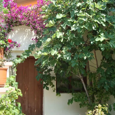 Family And Friends Villa, City Center, 50 Mtrs From Sea Level *