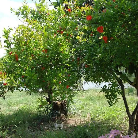 Holiday home Family And Friends Villa, City Center, 50 Mtrs From Sea Level Neos Marmaras
